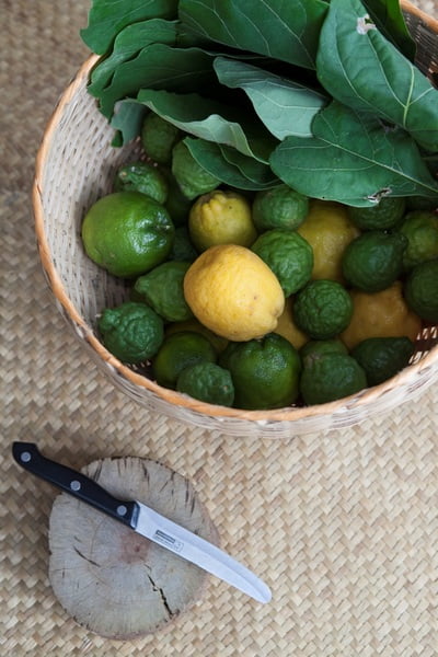 Head to Toe Bath Hair & Body Cleanser