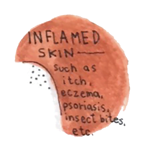 How-To: Cold Pressed Sesame Oil