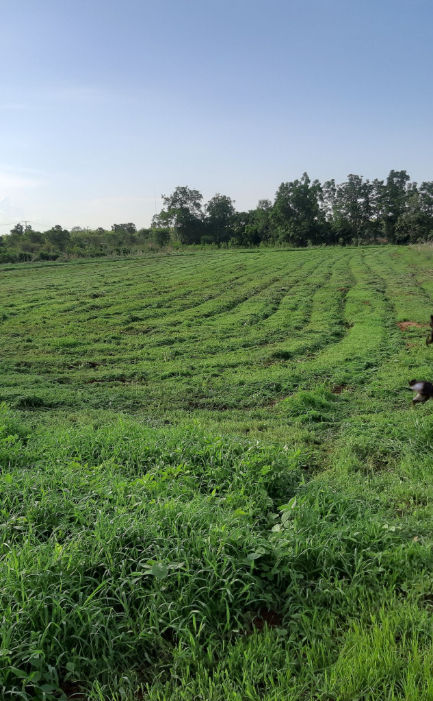 the story of our land plowwing