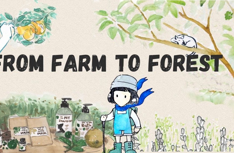 farm to forest