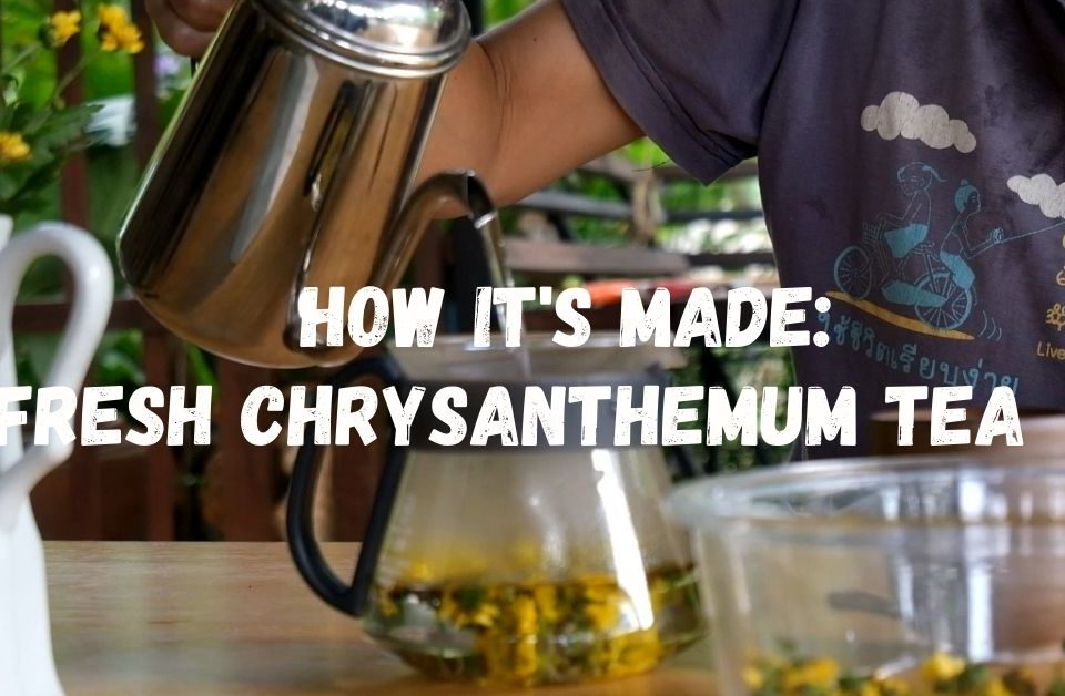 chyrsanthemum tea