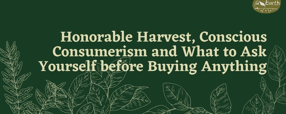 conscious consumerism honorable harvest and questions to ask yourself before buying