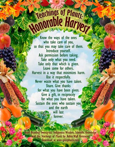 honorable harvest